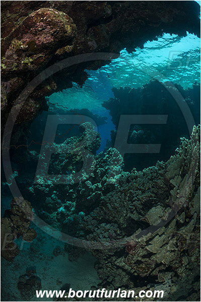 Shaab Abu Dabab, Marsa Alam, Egypt, Red sea, Reef, Cave