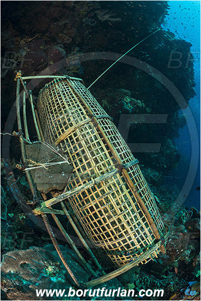 Pura, Alor, Indonesia, Fish trap, Reef