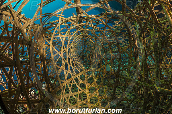 Pantar, Alor, Indonesia, Fish trap, Reef, Abstract