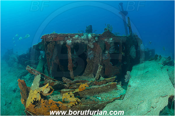 Baja California, La Paz, Mexico, Pacific ocean, Salvatierra wreck, Sea of Cortez, Wreck