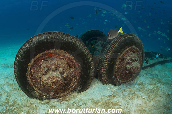 Baja California, La Paz, Mexico, Pacific ocean, Salvatierra wreck, Sea of Cortez, Wheels, Wreck