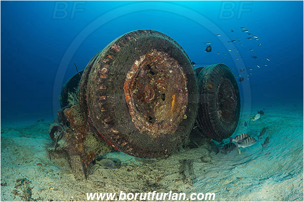 Baja California, La Paz, Mexico, Pacific ocean, Salvatierra wreck, Sea of Cortez, Wheels, Wreck