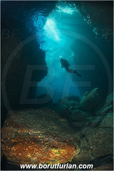 Baja California, Canyon, Cave, Diver, Isla Partida, Los Islotes, Mexico, Sea of Cortez