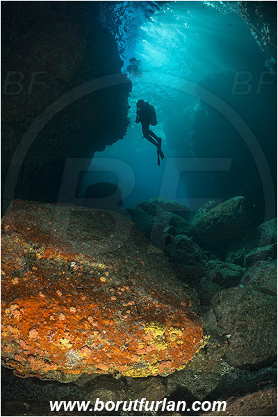 Baja California, Canyon, Cave, Diver, Isla Partida, Los Islotes, Mexico, Sea of Cortez
