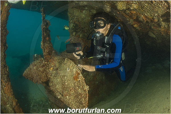 Baja California, Diver, La Paz, Mexico, Pacific ocean, Propeller, Salvatierra wreck, Sea of Cortez, Wreck