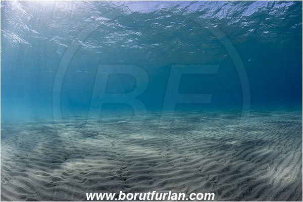 Marsa Abu Dabab, Marsa Alam, Egypt, Red sea, Sand, Surface