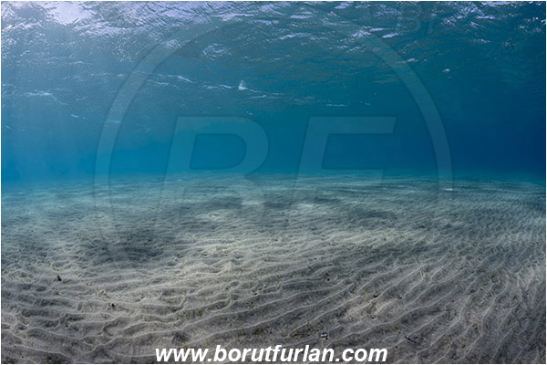 Marsa Abu Dabab, Marsa Alam, Egypt, Red sea, Sand, Surface
