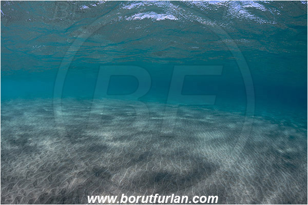 Marsa Abu Dabab, Marsa Alam, Egypt, Red sea, Sand, Surface
