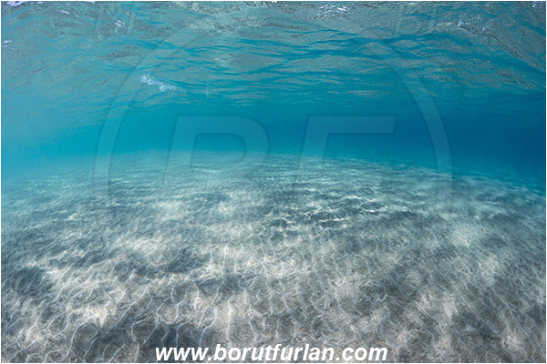 Marsa Abu Dabab, Marsa Alam, Egypt, Red sea, Sand, Surface