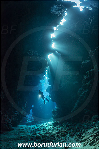 Wadi Lahami, Egypt, Red sea, Reef, Cave, Light rays, Diver
