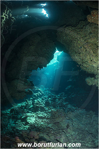 Wadi Lahami, Egypt, Red sea, Reef, Cave, Light rays
