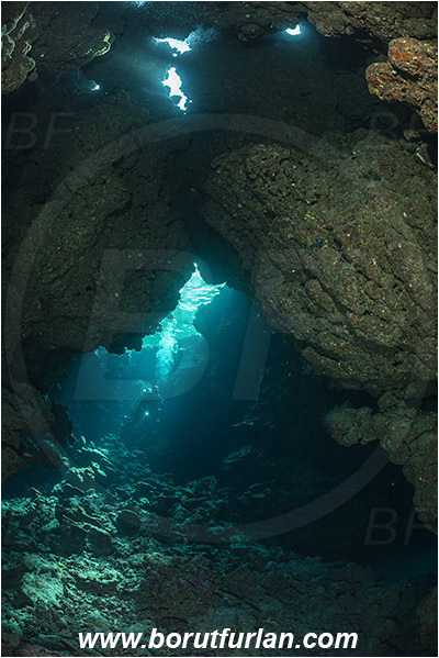 Wadi Lahami, Egypt, Red sea, Reef, Cave, Diver