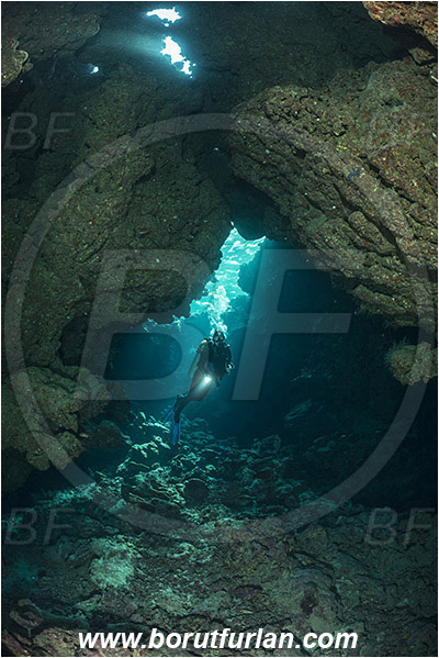Wadi Lahami, Egypt, Red sea, Reef, Cave, Diver