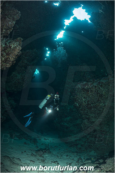 Wadi Lahami, Egypt, Red sea, Reef, Cave, Diver