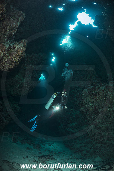 Wadi Lahami, Egypt, Red sea, Reef, Cave, Diver