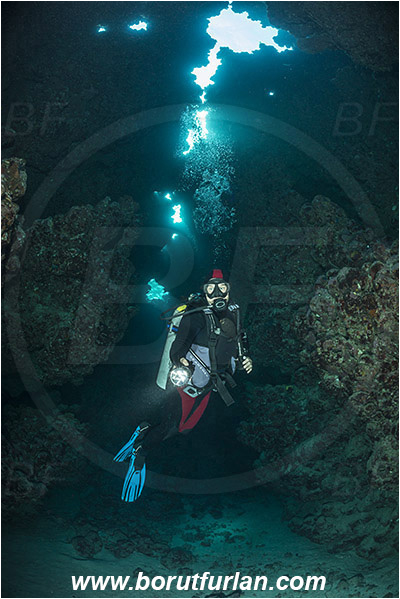 Wadi Lahami, Egypt, Red sea, Reef, Cave, Diver