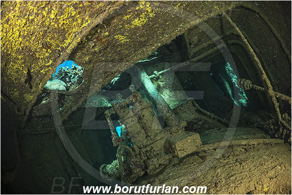 Abu Galawa, Wadi Lahami, Egypt, Red sea, Wreck, Tien Sien wreck, Reef, Interior