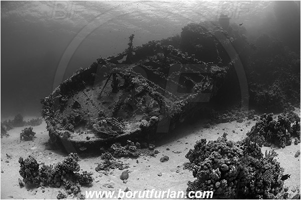 Abu Galawa, Wadi Lahami, Egypt, Red sea, Wreck, Tien Sien wreck, Reef, Black&White