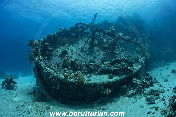 Abu Galawa, Wadi Lahami, Egypt, Red sea, Wreck, Tien Sien wreck, Reef