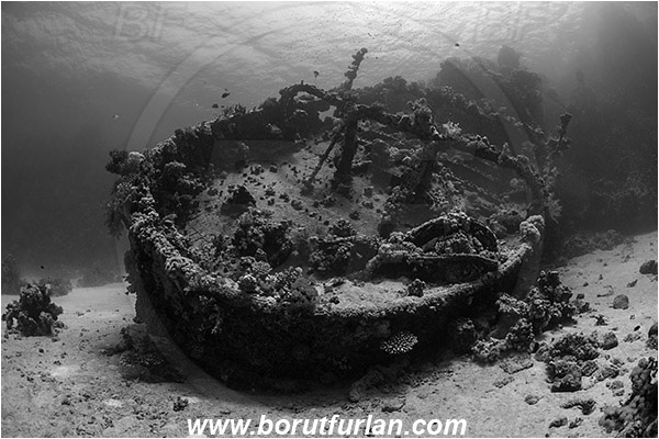Abu Galawa, Wadi Lahami, Egypt, Red sea, Wreck, Tien Sien wreck, Reef, Black&White