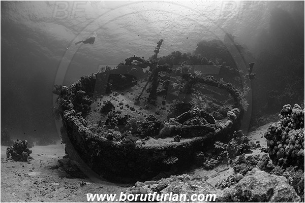 Abu Galawa, Wadi Lahami, Egypt, Red sea, Wreck, Tien Sien wreck, Reef, Diver, Black&White