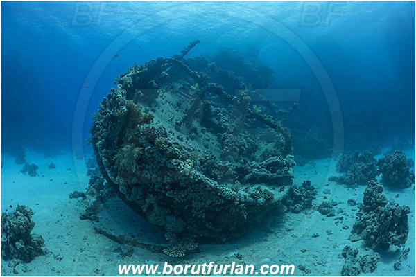 Abu Galawa, Wadi Lahami, Egypt, Red sea, Wreck, Tien Sien wreck, Reef