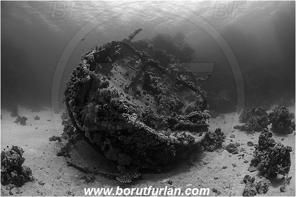 Abu Galawa, Wadi Lahami, Egypt, Red sea, Wreck, Tien Sien wreck, Reef, Black&White