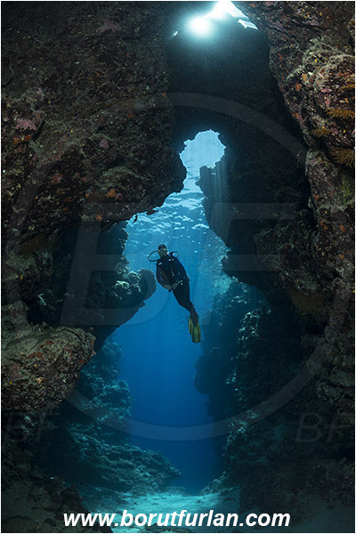 Ras Muhammad, Sinai, Egypt, Red sea, Reef, Cave, Light rays, Diver