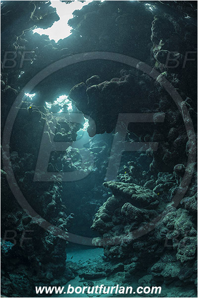 Shaab Abu Dabab, Marsa Alam, Egypt, Red sea, Reef, Cave, Canyon