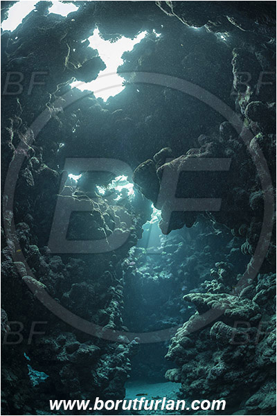 Shaab Abu Dabab, Marsa Alam, Egypt, Red sea, Reef, Cave, Canyon
