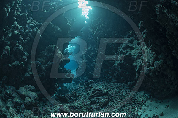 Shaab Abu Dabab, Marsa Alam, Egypt, Red sea, Reef, Cave, Canyon