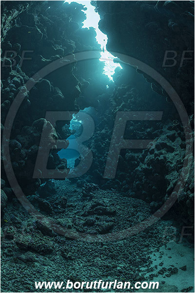 Shaab Abu Dabab, Marsa Alam, Egypt, Red sea, Reef, Cave, Canyon