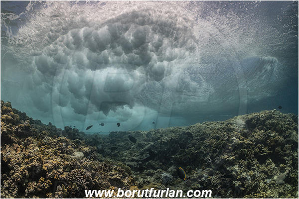 Elphinstone reef, Marsa Alam, Egypt, Red sea, Reef, Waves