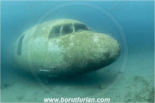 Aqaba, Jordan, Red sea, Wreck, Airplane, Lockheed L-1011 TriStar