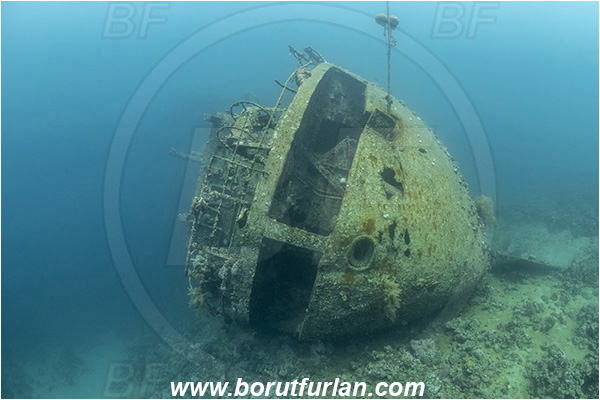 Aqaba, Jordan, Red sea, Wreck, Cedar Pride, Wreck Cedar Pride, Stern
