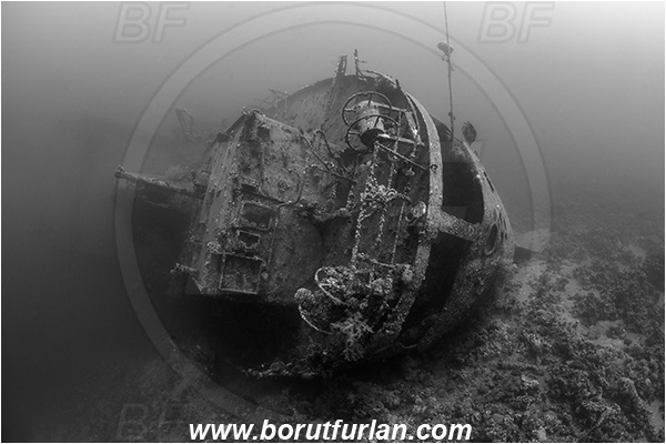 Aqaba, Jordan, Red sea, Wreck, Cedar Pride, Wreck Cedar Pride, Stern, Black&white