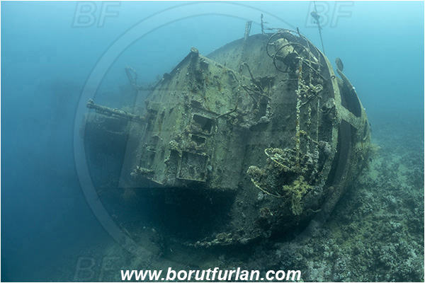 Aqaba, Jordan, Red sea, Wreck, Cedar Pride, Wreck Cedar Pride, Stern