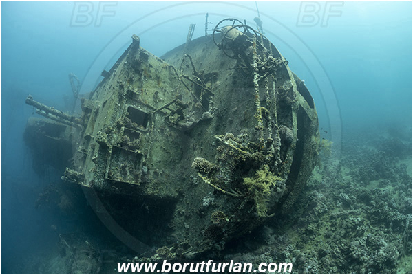 Aqaba, Jordan, Red sea, Wreck, Cedar Pride, Wreck Cedar Pride, Stern