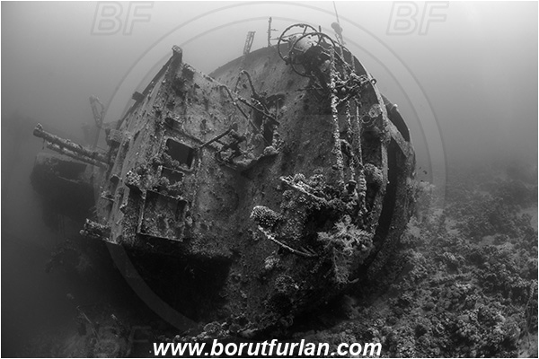 Aqaba, Jordan, Red sea, Wreck, Cedar Pride, Wreck Cedar Pride, Stern, Black&white