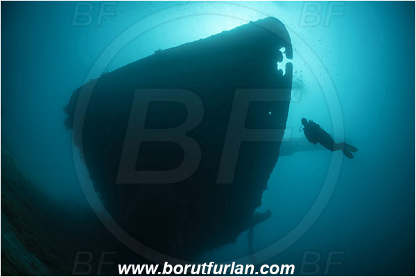 Aqaba, Jordan, Red sea, Wreck, Cedar Pride, Wreck Cedar Pride, Bow, Diver