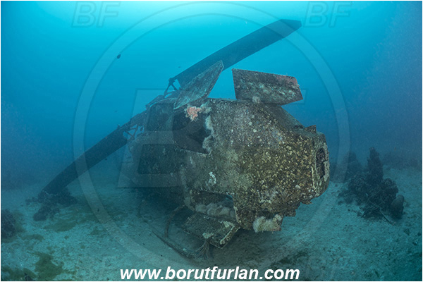 Aqaba, Jordan, Red sea, Wreck, Helicopter wreck, Helicopter, Bell AH-1F Cobra