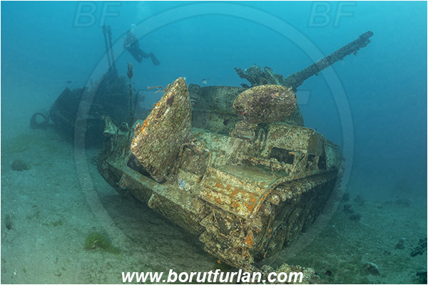Aqaba, Jordan, Red sea, Wreck, Tank wreck, Tank, Anti-aircraft self-propelled gun M42 Duster, Diver