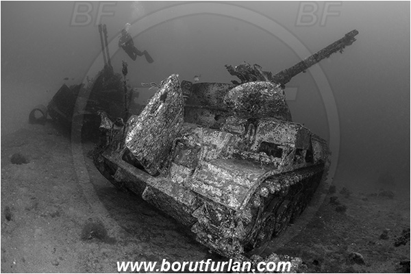 Aqaba, Jordan, Red sea, Wreck, Tank wreck, Tank, Anti-aircraft self-propelled gun M42 Duster, Black&white, Diver
