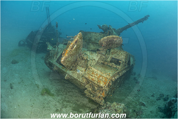Aqaba, Jordan, Red sea, Wreck, Tank wreck, Tank, Anti-aircraft self-propelled gun M42 Duster