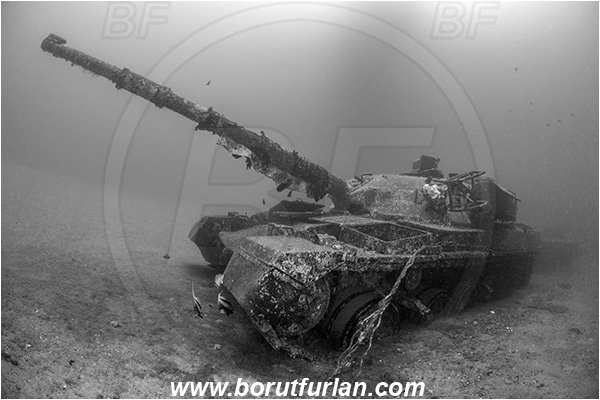 Aqaba, Jordan, Red sea, Wreck, Tank wreck, Tank, Chieftain tank (Khalid), Black&white