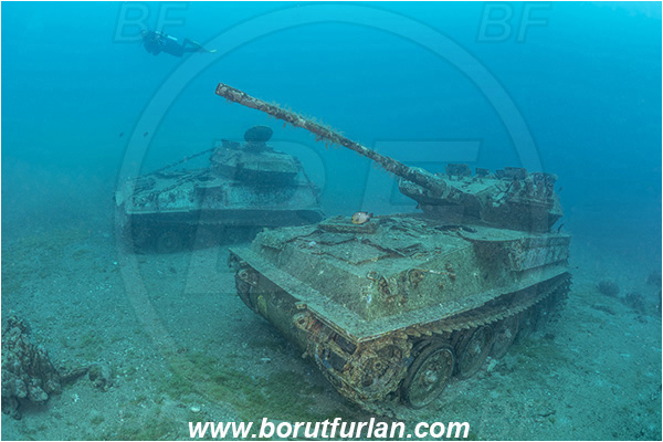 Aqaba, Jordan, Red sea, Wreck, Tank wreck, Tank, Diver