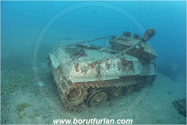 Aqaba, Jordan, Red sea, Wreck, Tank wreck, Tank, Armoured ambulance, Ambulance