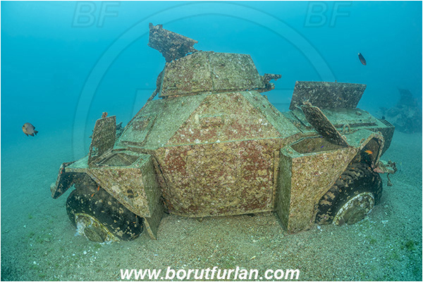 Aqaba, Jordan, Red sea, Wreck, Tank wreck, Tank, Armoured car, Car wreck, Car