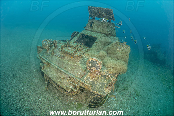 Aqaba, Jordan, Red sea, Wreck, Tank wreck, Tank, Armoured car, Car wreck, Car