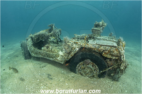 Aqaba, Jordan, Red sea, Wreck, Jeep wreck, Jeep, Willys MB Jeep